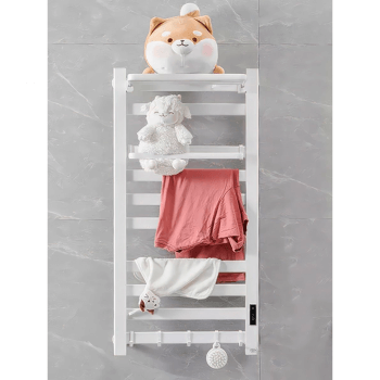 Полотенцесушитель электрический Loder 49*96 см с вешалкой (правое подключение) белый-2